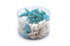 teal coral and shell pack